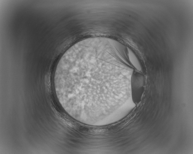 X0000074000202200609181817