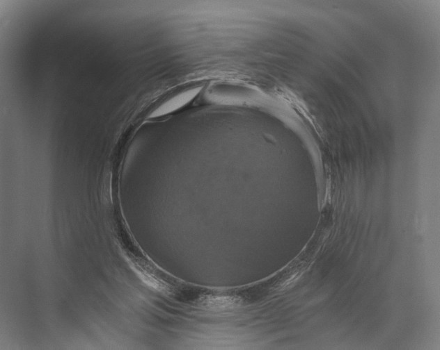 X0000074000205200609181817