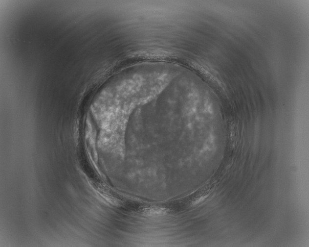 X0000074000206200609181817