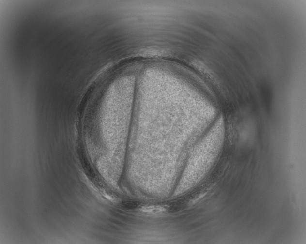 X0000074000208200609181817