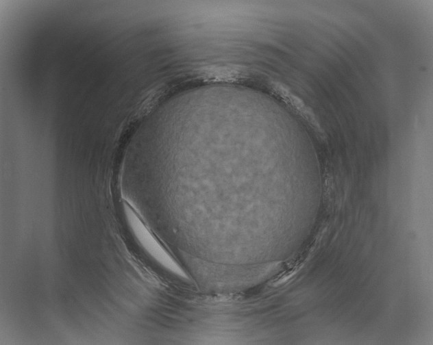 X0000074000209200609181817