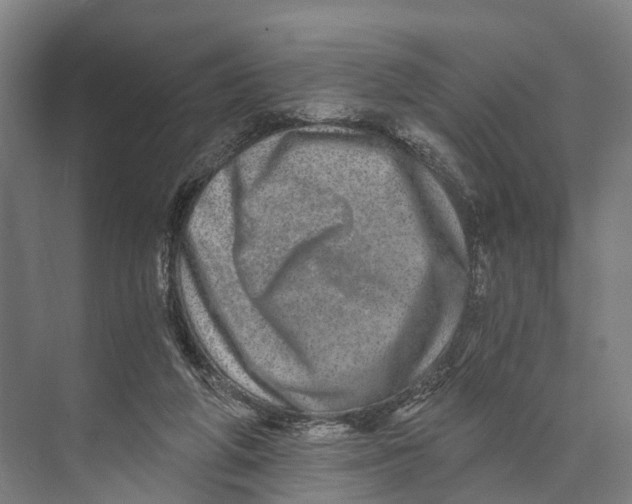 X0000074000210200609181817