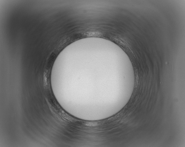 X0000074000214200609181817