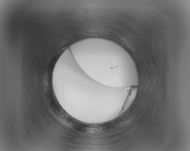 X0000074000215200609181817