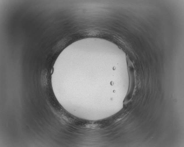 X0000074000216200609181817