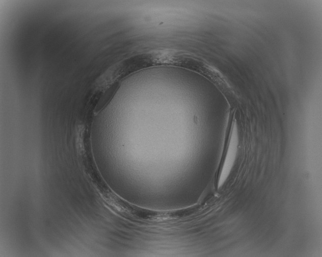 X0000074000217200609181817