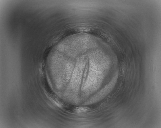 X0000074000218200609181817