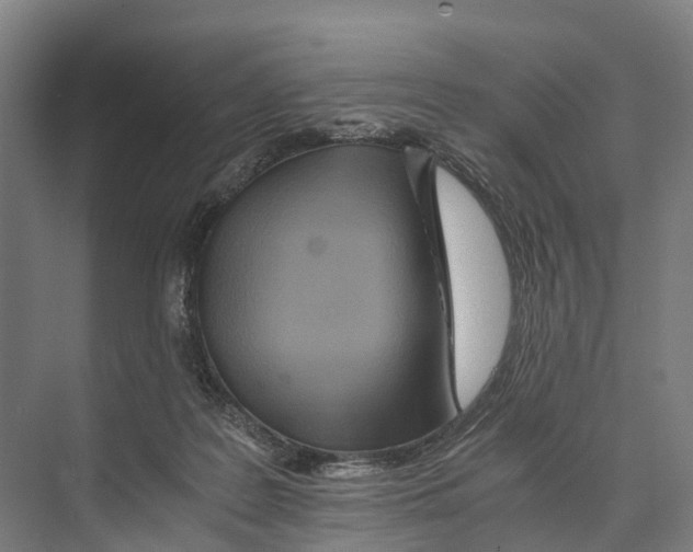 X0000074000219200609181817