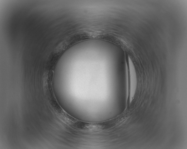 X0000074000221200609181817