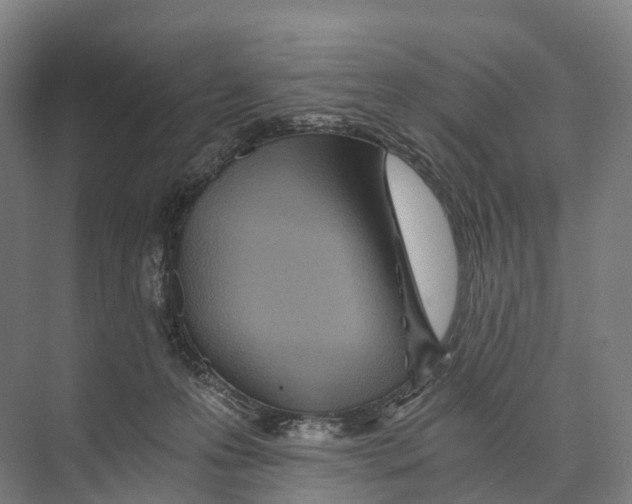 X0000074000223200609181816