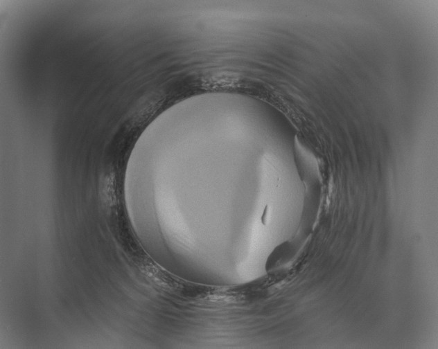 X0000074000224200609181816