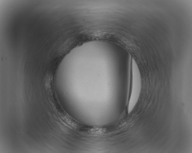 X0000074000225200609181816