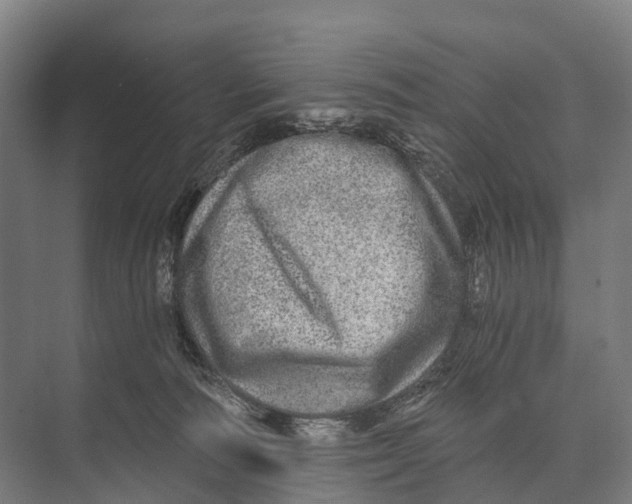 X0000074000226200609181816