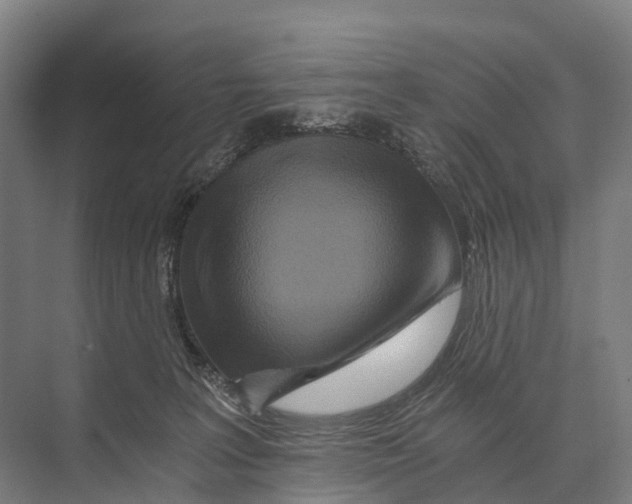 X0000074000227200609181816