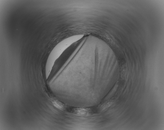 X0000074000229200609181816