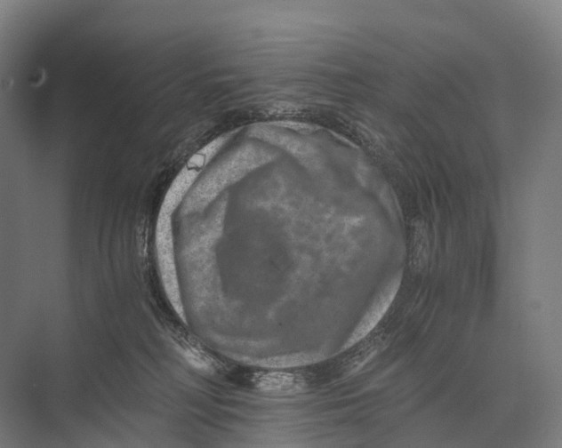 X0000074000230200609181816