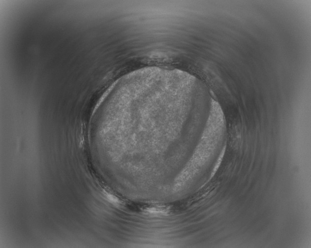 X0000074000232200609181816