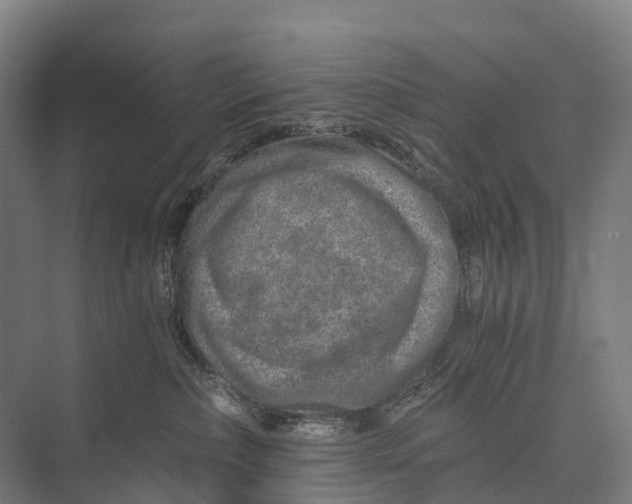 X0000074000236200609181816