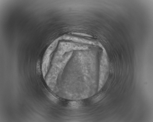 X0000074000238200609181816