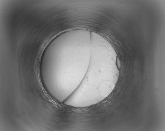 X0000074000241200609181815