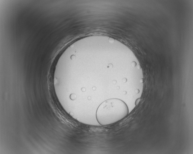 X0000074000242200609181815