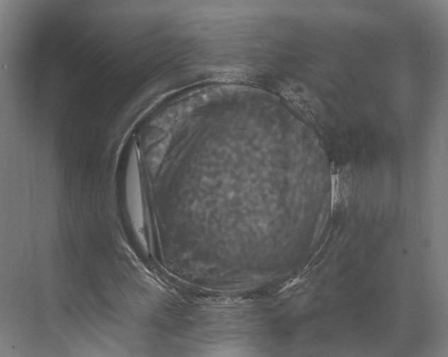 X0000074000243200609181815