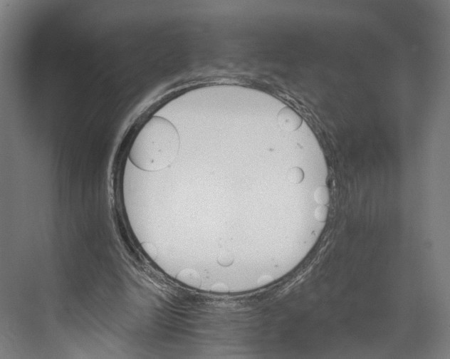 X0000074000246200609181815