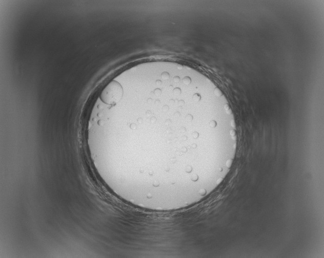 X0000074000247200609181815