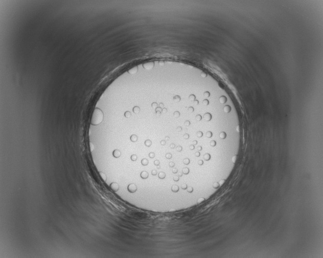 X0000074000249200609181816