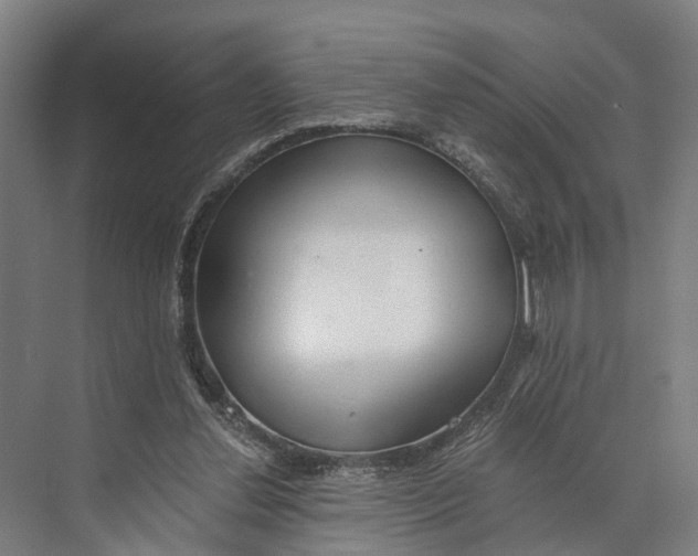 X0000074000252200609181816