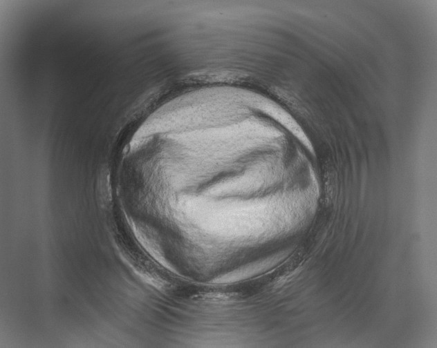 X0000074000254200609181816