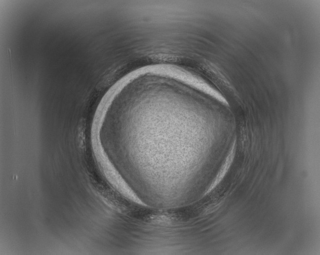 X0000074000259200609181816