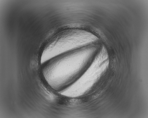 X0000074000261200609181816