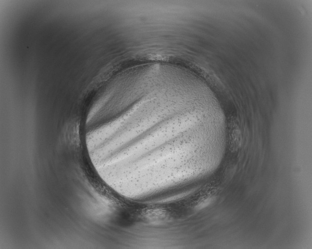 X0000074000262200609181816