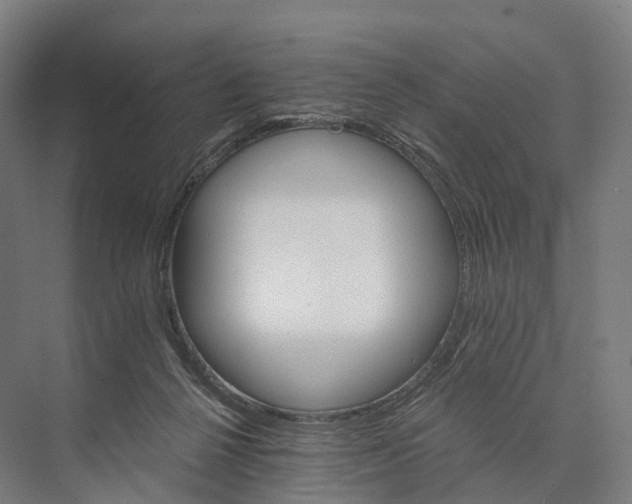 X0000074000264200609181816