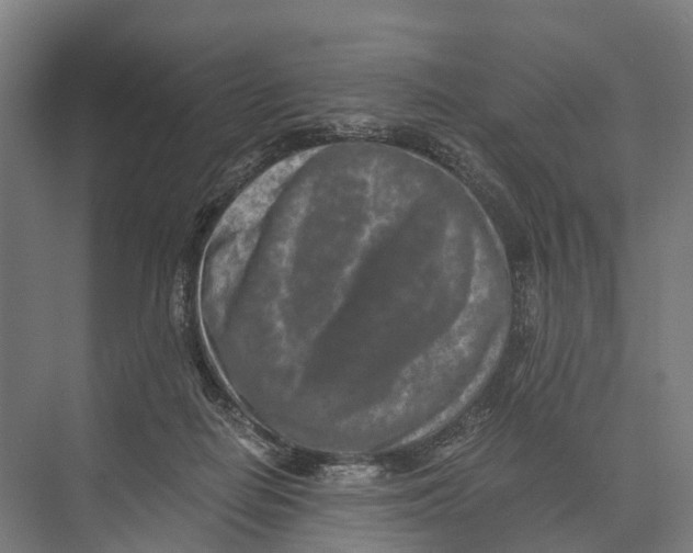 X0000074000266200609181816