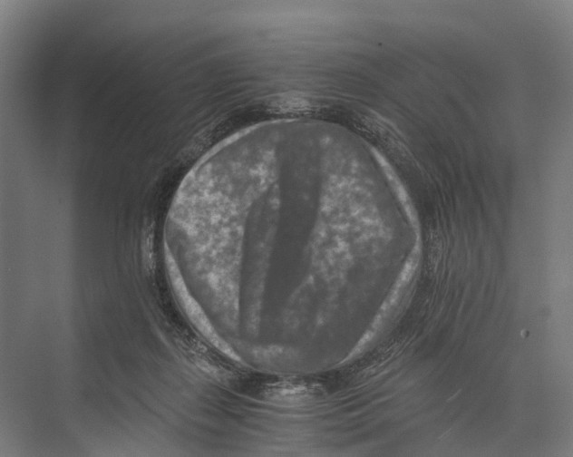 X0000074000267200609181816