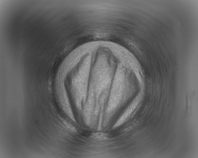 X0000074000269200609181816