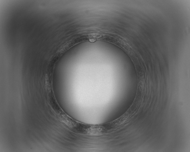 X0000074000270200609181816