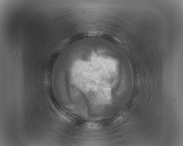 X0000074000272200609181816