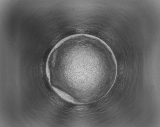 X0000074000275200609181816