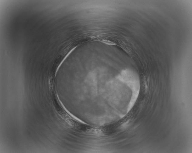 X0000074000276200609181816