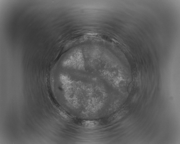 X0000074000277200609181816