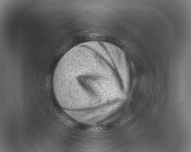 X0000074000278200609181816