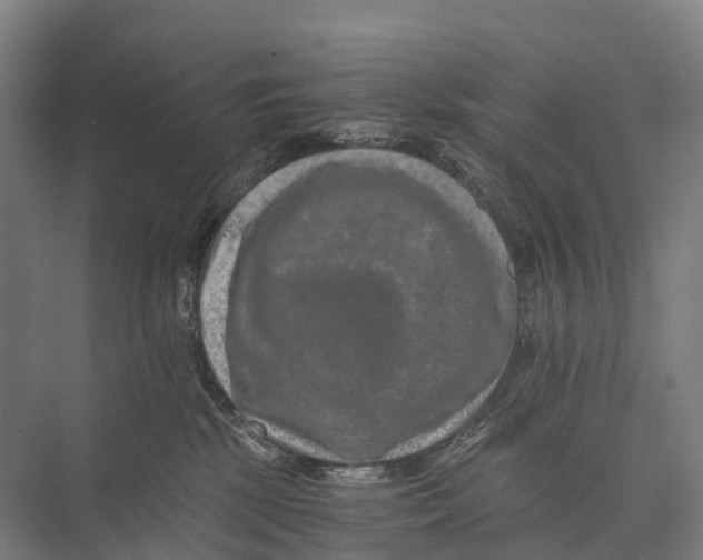 X0000074000281200609181816