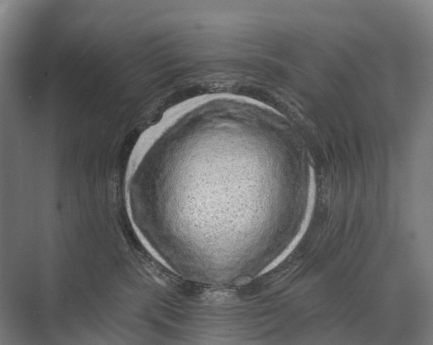 X0000074000283200609181816