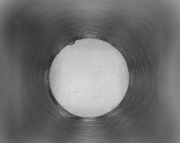 X0000074000286200609181816