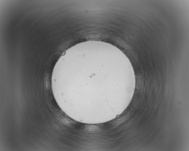 X0000074000287200609181816