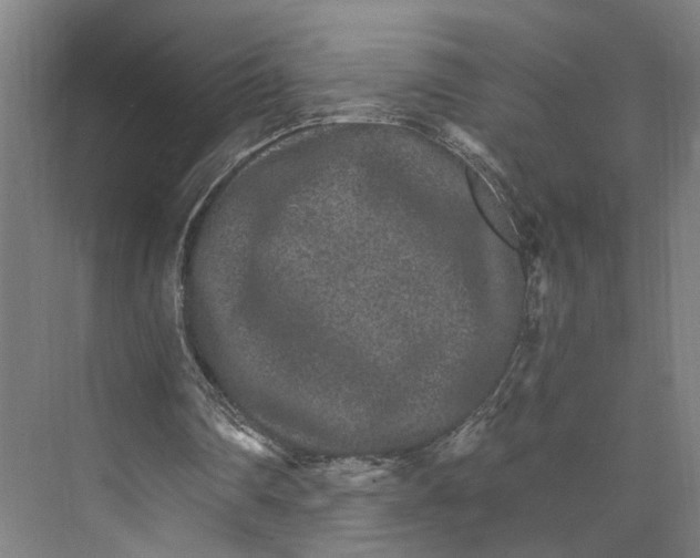 X0000074000290200609181815