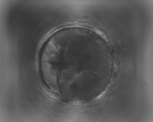 X0000074000295200609181815